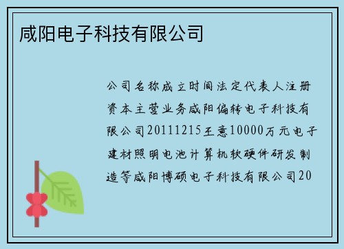 咸阳电子科技有限公司